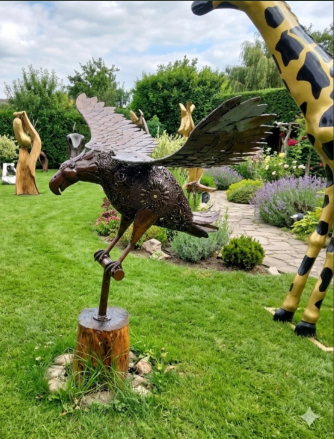 Aigle