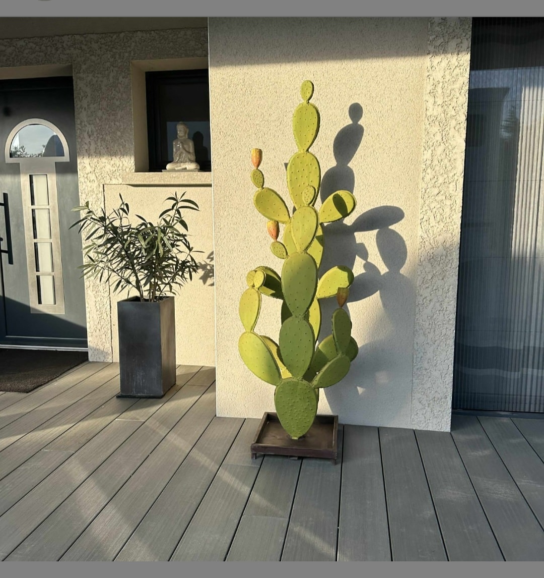 Cactus sur pied