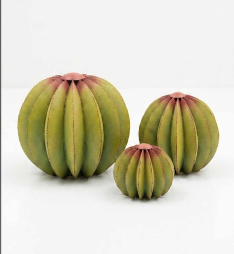 Série boule cactus
