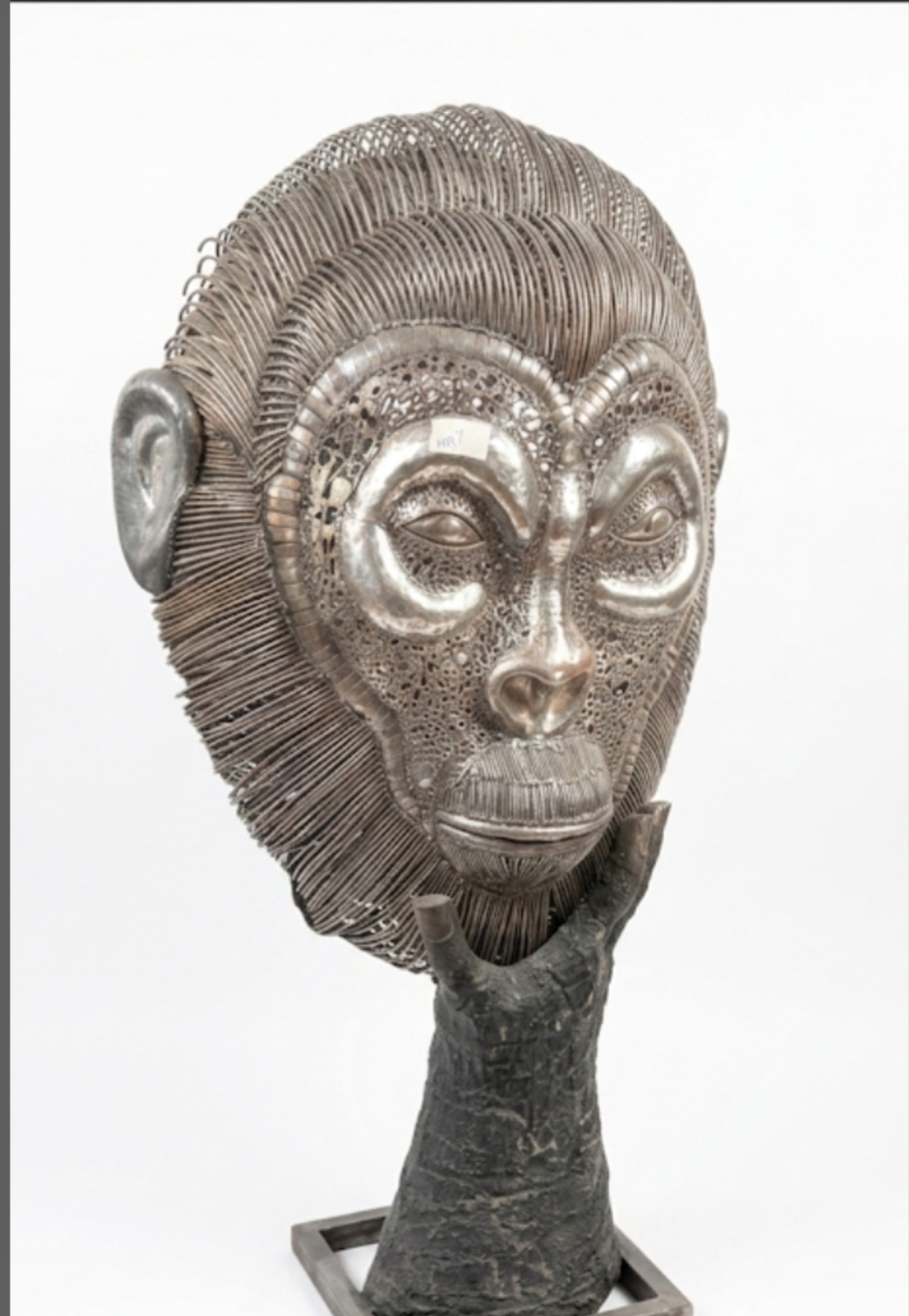 Visage de gorille